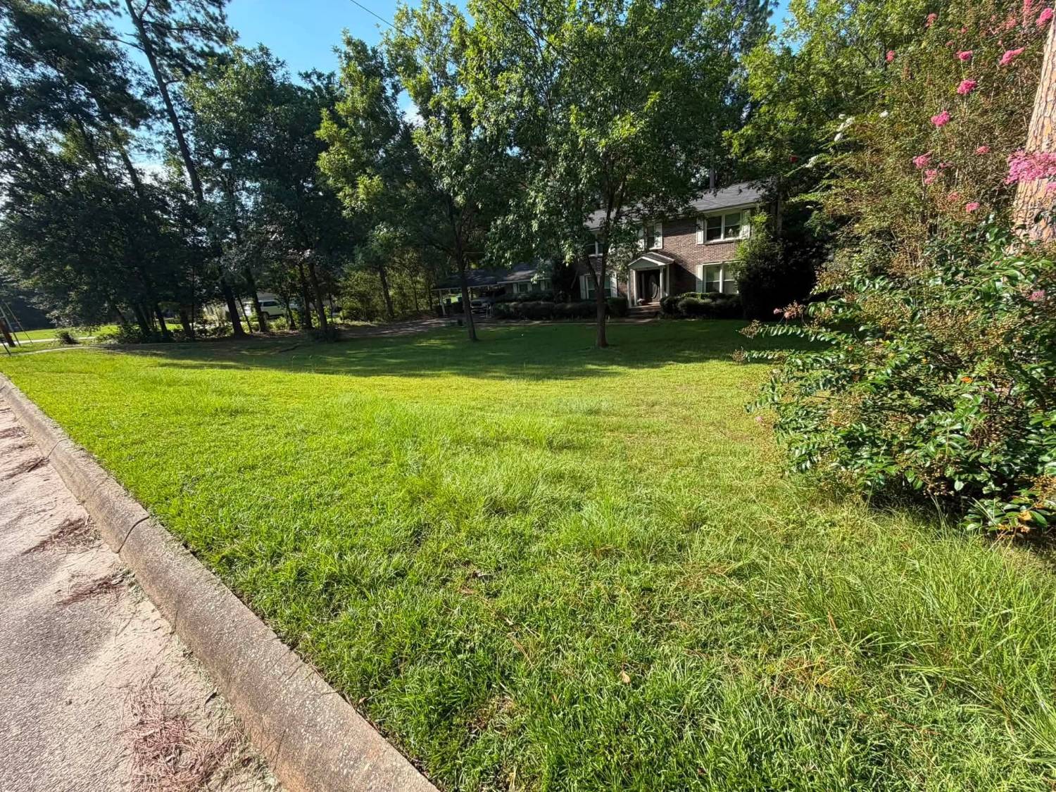 Before: shaggy, uneven front yard along the curb